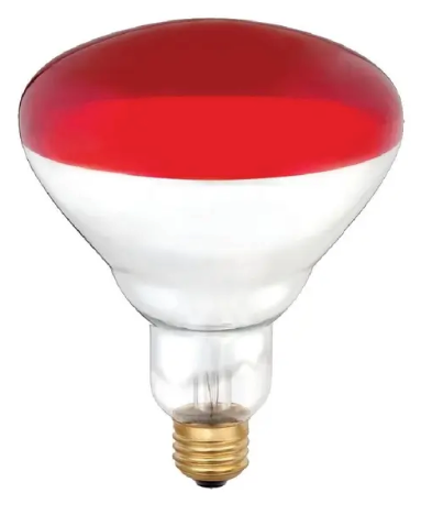 250 Watt Red Faced Heat Lamp Bulb