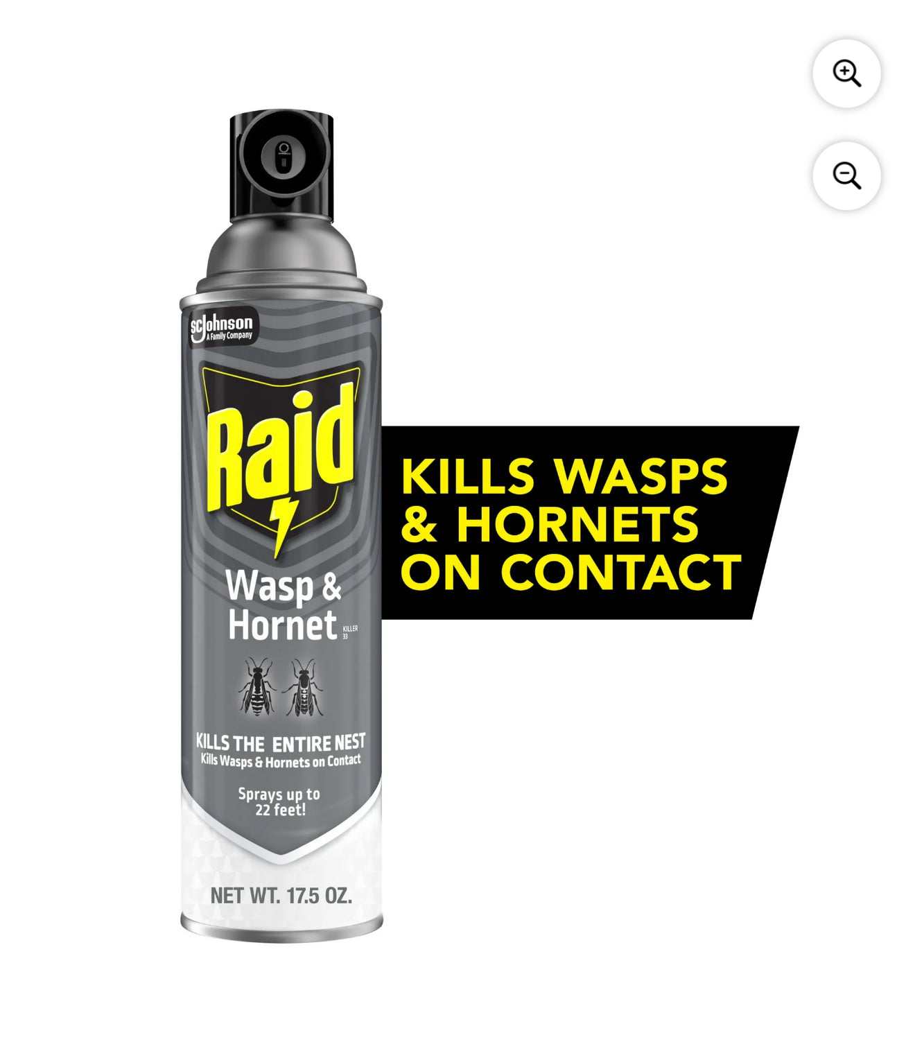 Raid Wasp & Hornet Killer