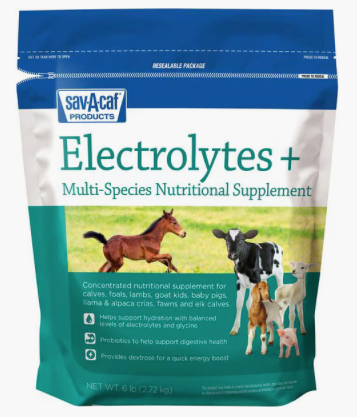 Sav-A-Caf Electrolytes +