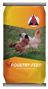 Performance Feed Chick Starter Non Medicated