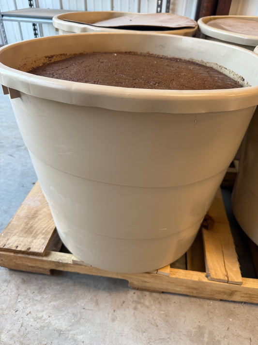 Beef Tub 24-5