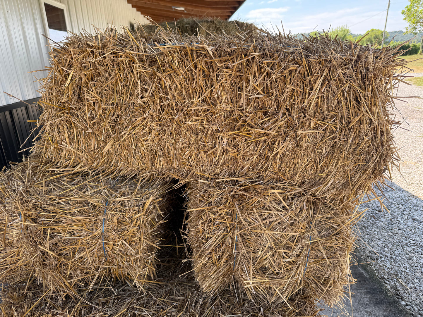 Straw (Square Bale)
