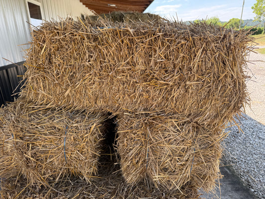 Straw (Square Bale)