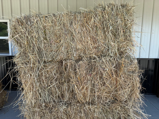 Hay (Square Bale)