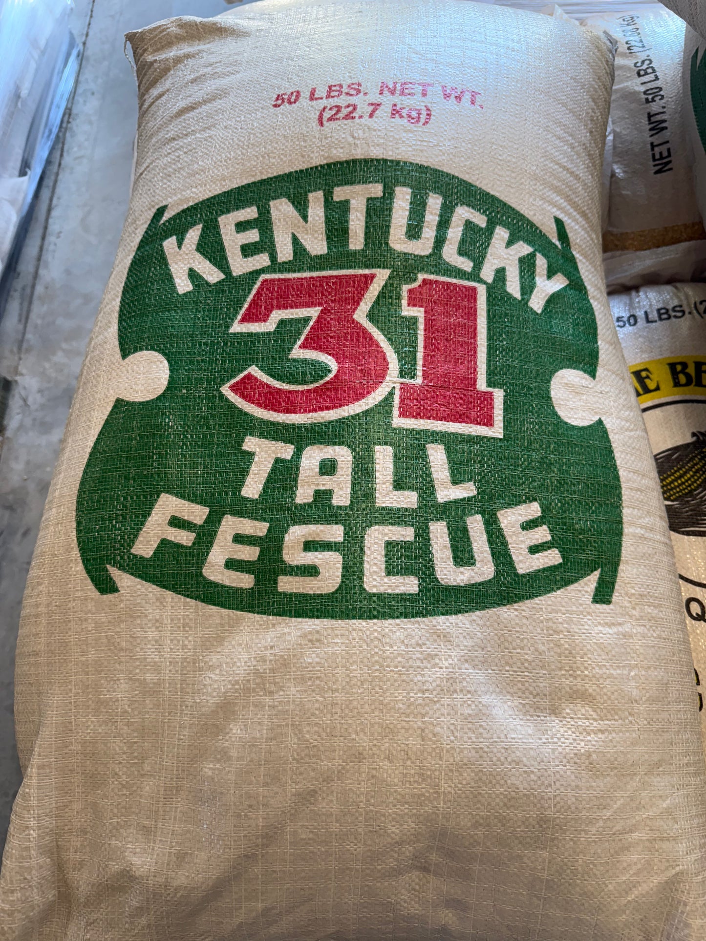 Fescue,  KY-31,  50lb bag