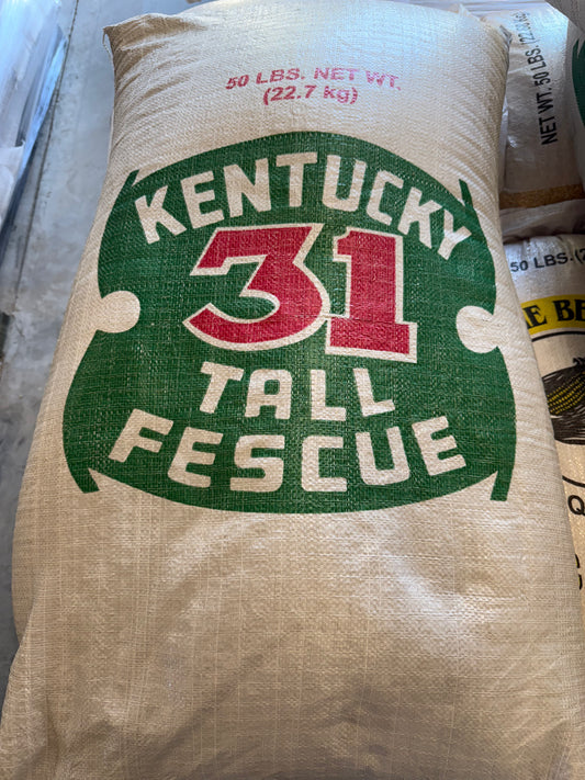 Fescue,  KY-31,  50lb bag