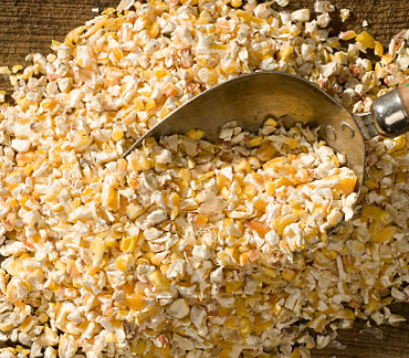 The Best! Cracked Corn