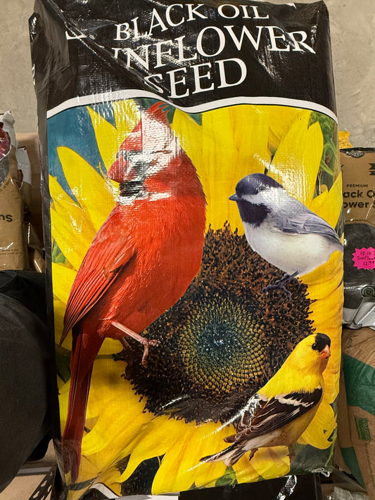 Black Oil 98% Sunflower Seed