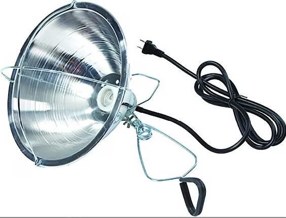 Little Giant Brooder Reflector Lamp, 10.5-in