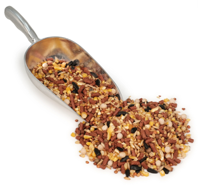 Eliminator Conditioner by Burkmann