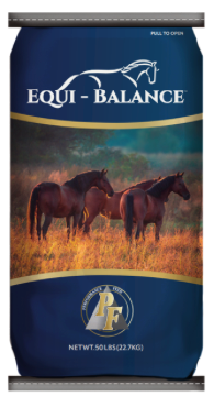 Safe & Reliable Horse