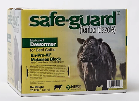 Safe-Guard Block, 25lbs