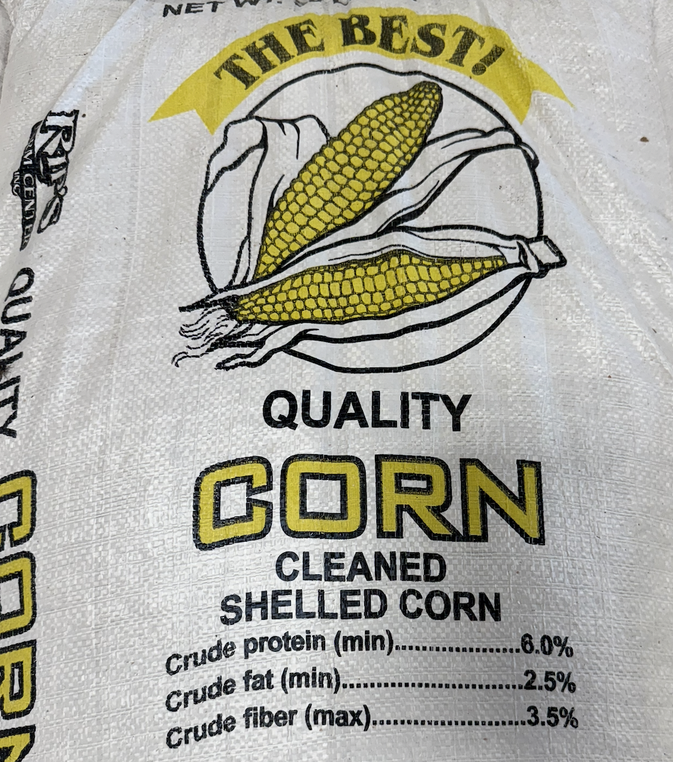 The Best! Shelled Corn