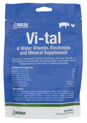 Vi-Tal Vitamin Electrolyte & Mineral Supplements (6oz)