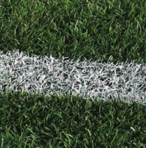 Pro Stripe Athletic Field Spray Paint